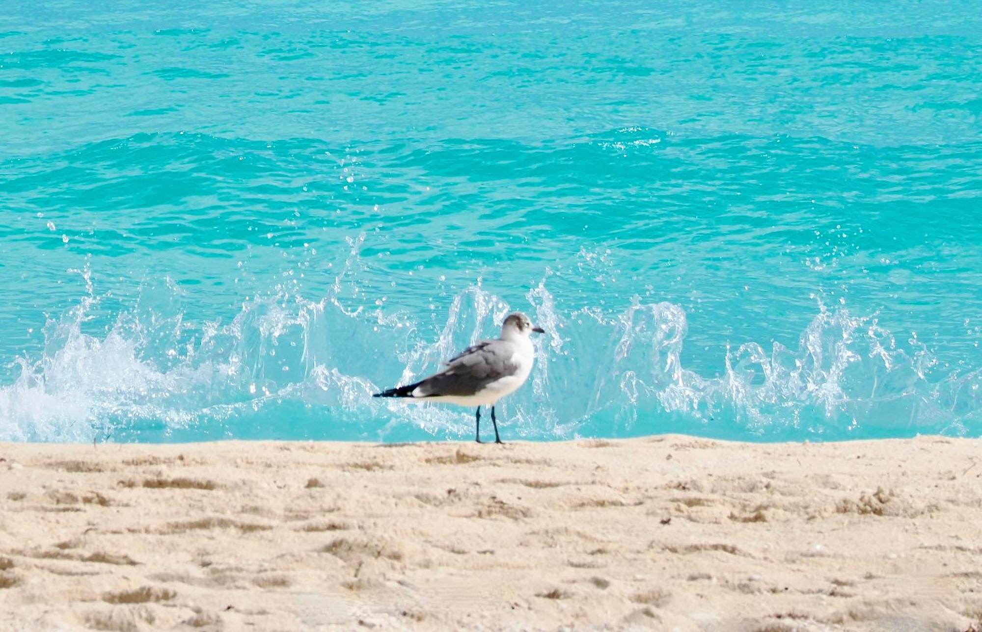 Solymar Beach Condos Cancún Eksteriør billede